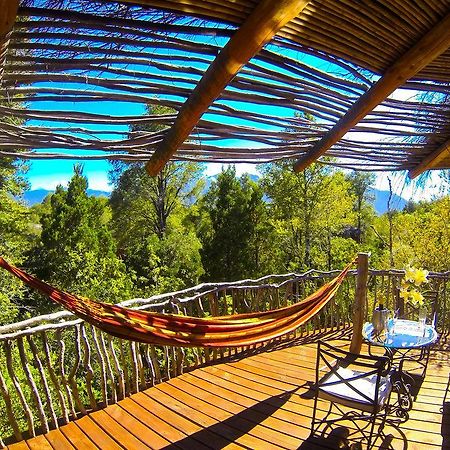 Tree Lodge Nidos De Pucón Εξωτερικό φωτογραφία