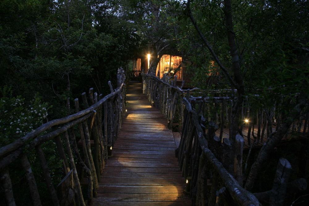 Tree Lodge Nidos De Pucón Εξωτερικό φωτογραφία
