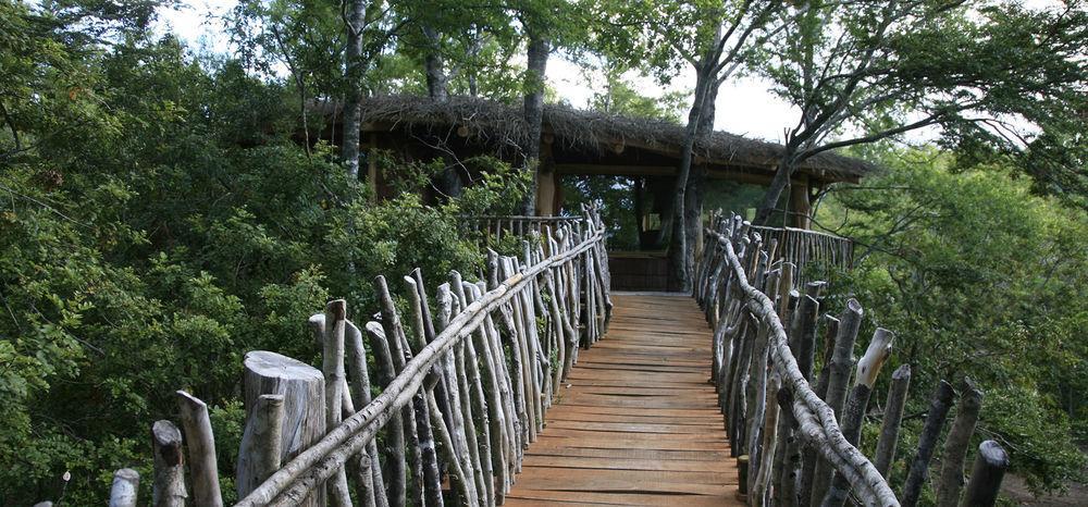 Tree Lodge Nidos De Pucón Εξωτερικό φωτογραφία