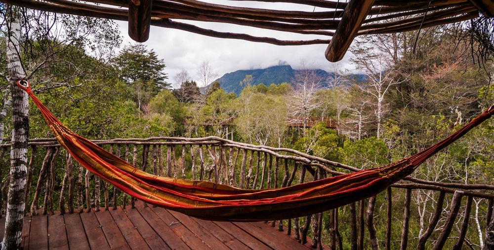 Tree Lodge Nidos De Pucón Εξωτερικό φωτογραφία
