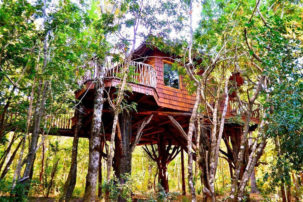 Tree Lodge Nidos De Pucón Εξωτερικό φωτογραφία