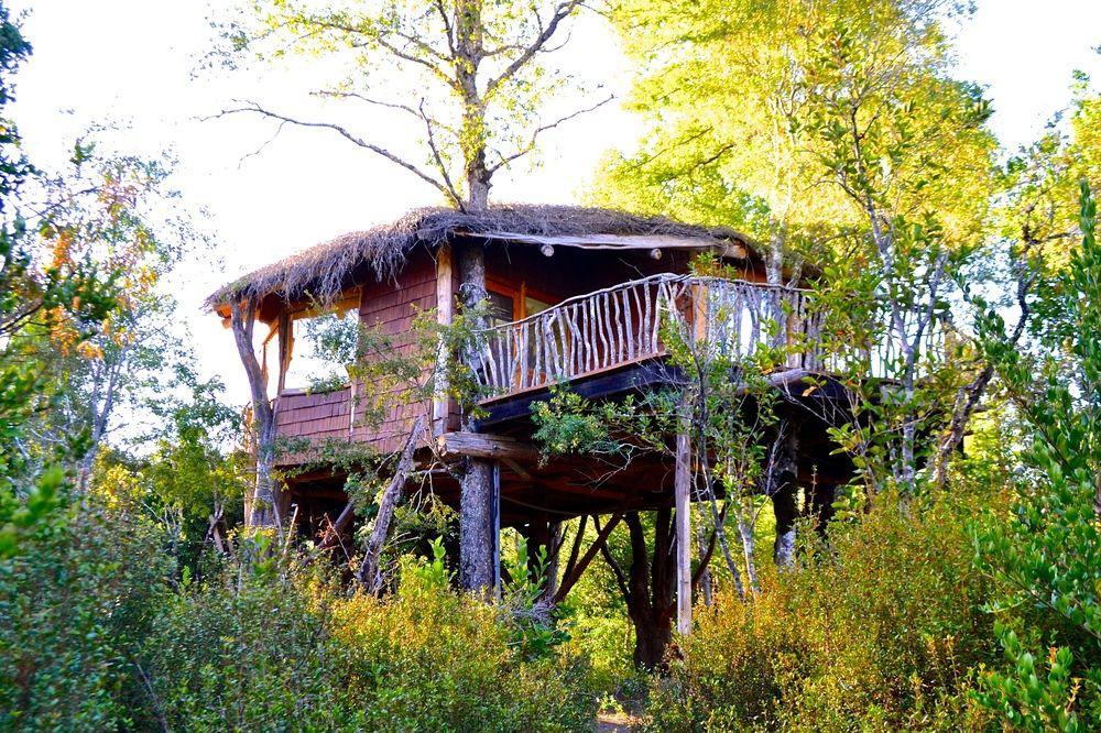 Tree Lodge Nidos De Pucón Εξωτερικό φωτογραφία