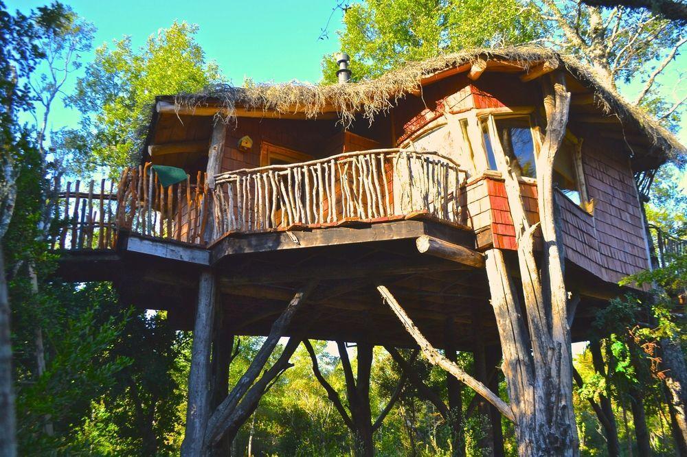 Tree Lodge Nidos De Pucón Εξωτερικό φωτογραφία