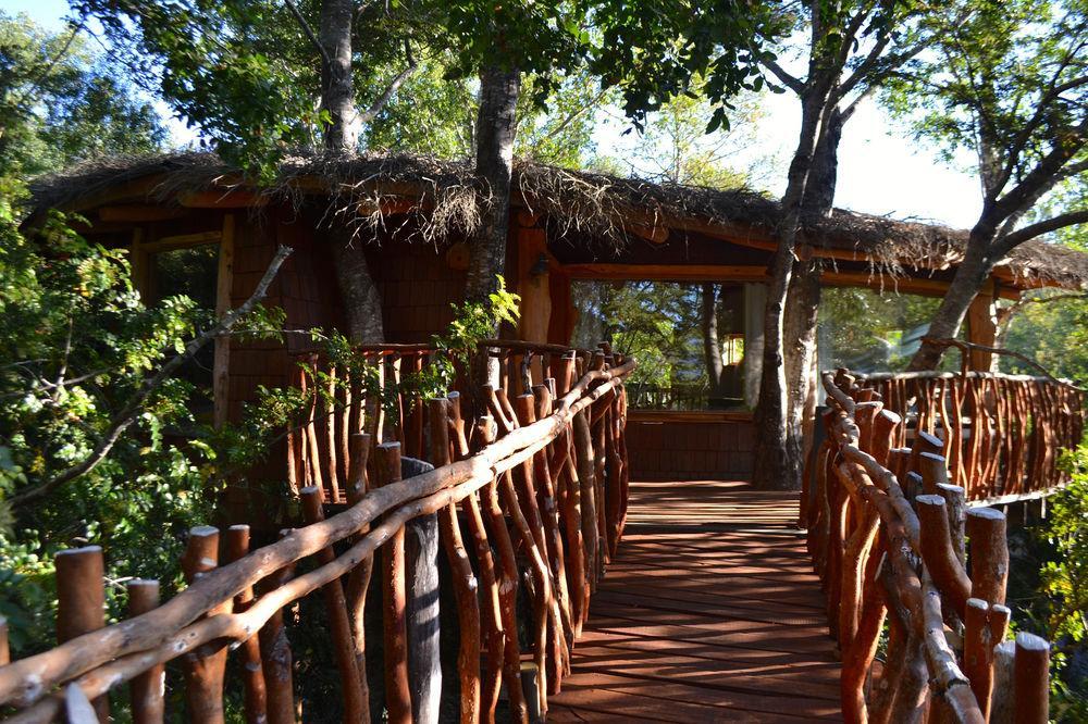Tree Lodge Nidos De Pucón Εξωτερικό φωτογραφία