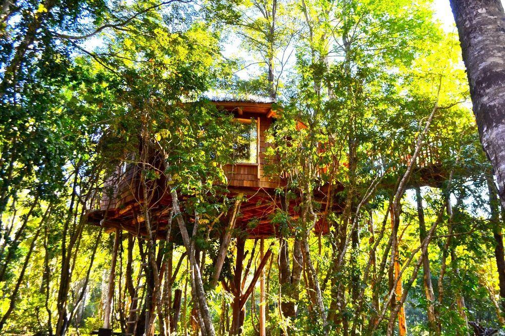 Tree Lodge Nidos De Pucón Εξωτερικό φωτογραφία