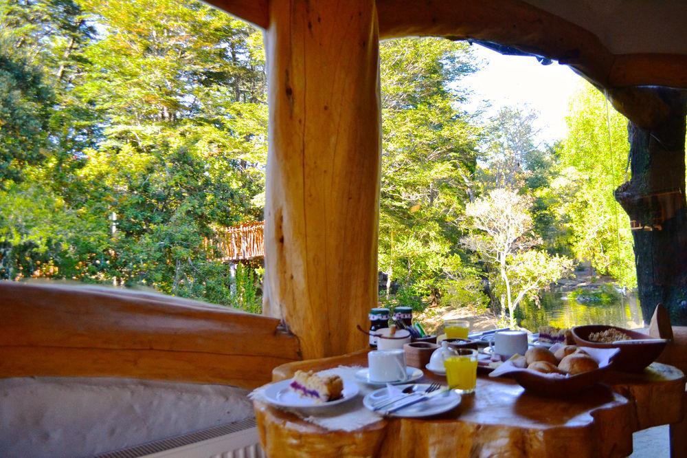 Tree Lodge Nidos De Pucón Εξωτερικό φωτογραφία