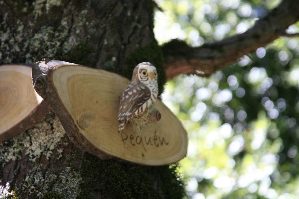 Tree Lodge Nidos De Pucón Εξωτερικό φωτογραφία