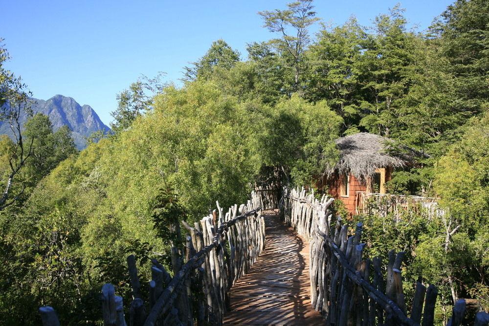 Tree Lodge Nidos De Pucón Εξωτερικό φωτογραφία