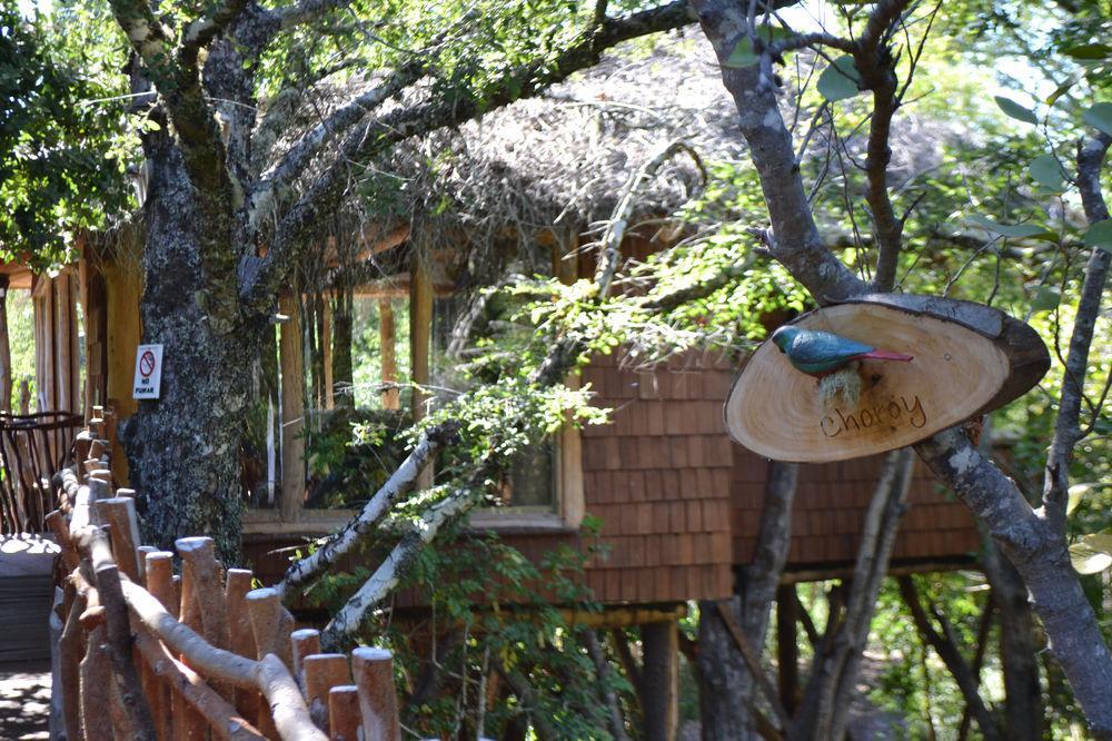 Tree Lodge Nidos De Pucón Εξωτερικό φωτογραφία