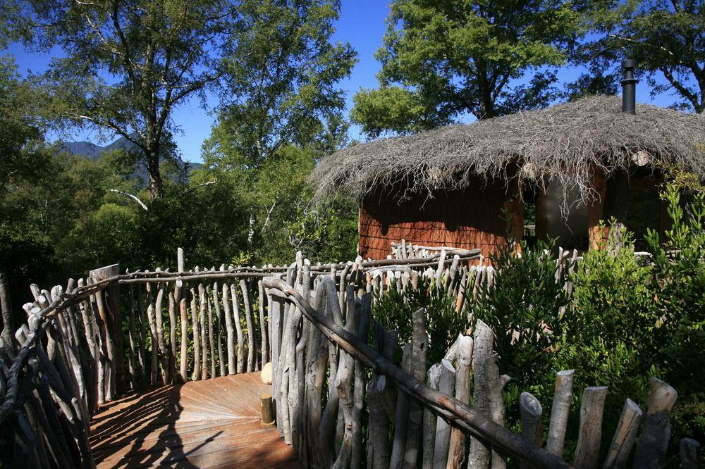 Tree Lodge Nidos De Pucón Εξωτερικό φωτογραφία