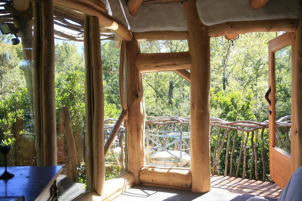Tree Lodge Nidos De Pucón Εξωτερικό φωτογραφία