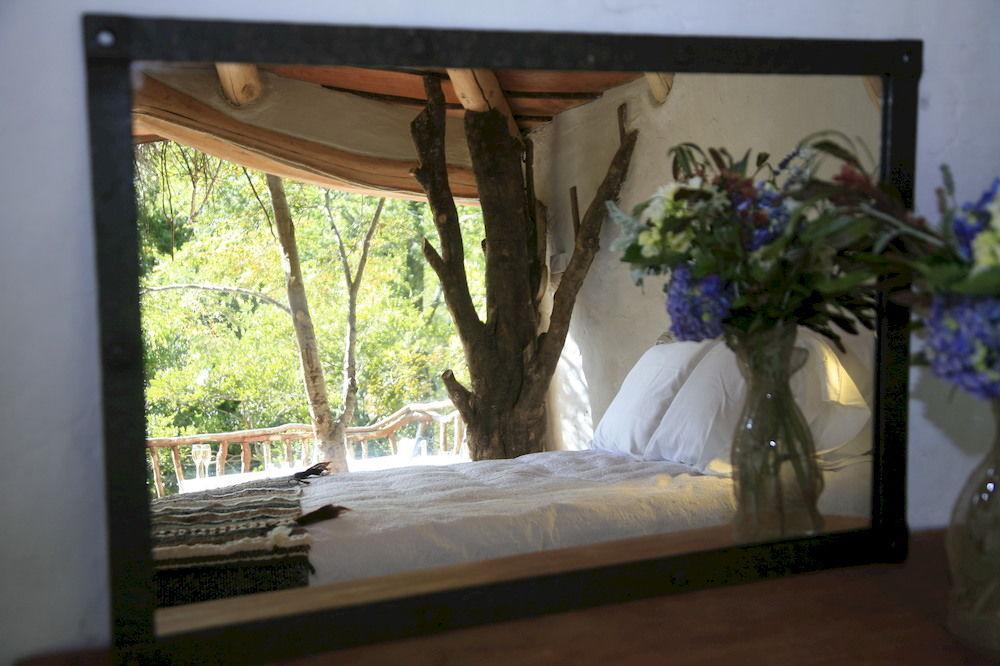 Tree Lodge Nidos De Pucón Εξωτερικό φωτογραφία