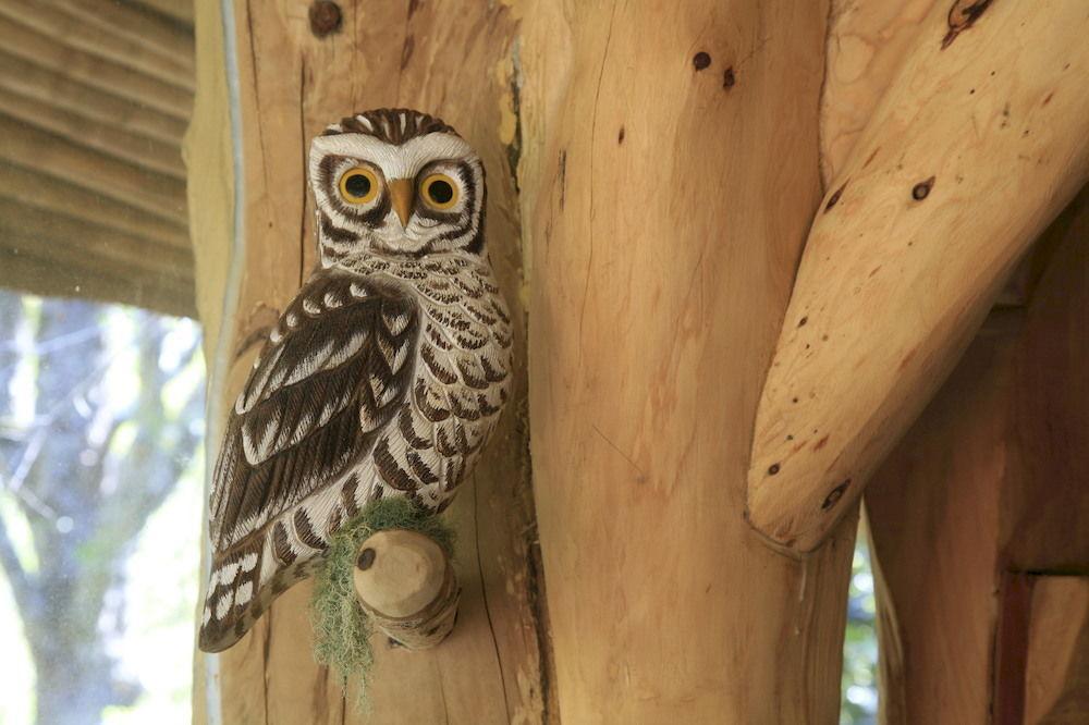 Tree Lodge Nidos De Pucón Εξωτερικό φωτογραφία