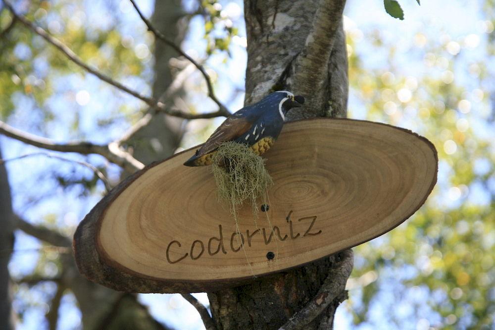 Tree Lodge Nidos De Pucón Εξωτερικό φωτογραφία