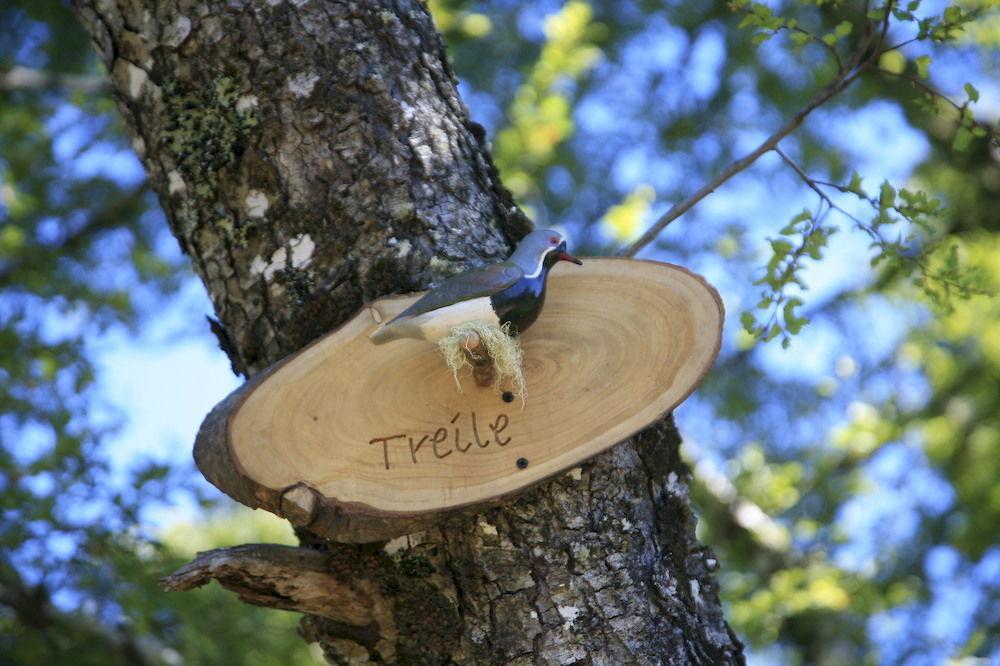 Tree Lodge Nidos De Pucón Εξωτερικό φωτογραφία