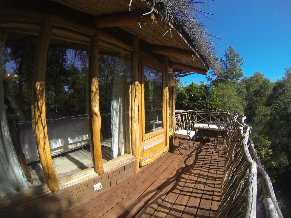 Tree Lodge Nidos De Pucón Εξωτερικό φωτογραφία