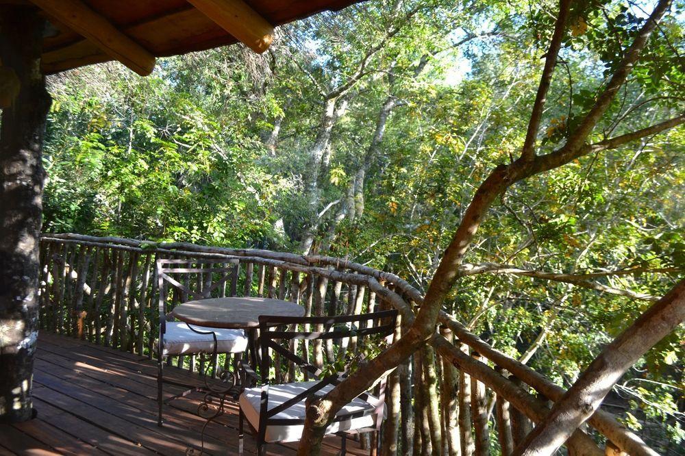 Tree Lodge Nidos De Pucón Εξωτερικό φωτογραφία