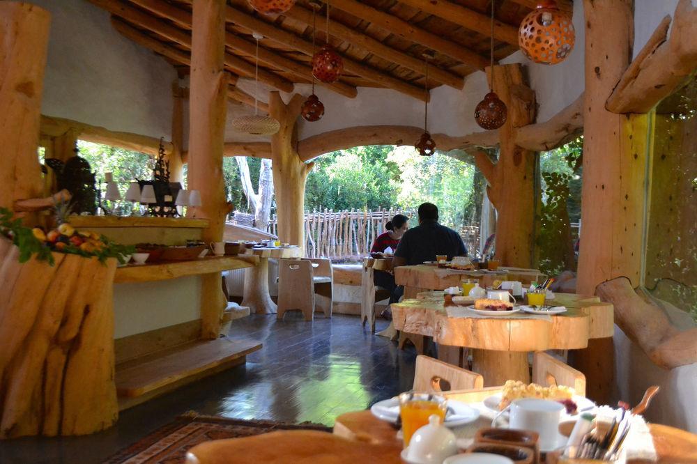 Tree Lodge Nidos De Pucón Εξωτερικό φωτογραφία