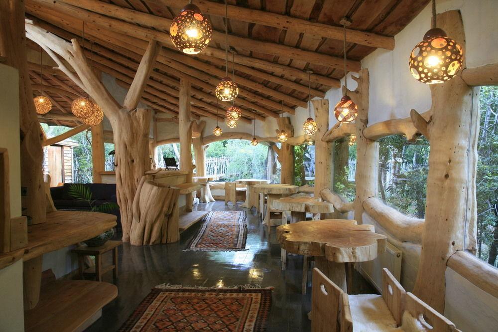 Tree Lodge Nidos De Pucón Εξωτερικό φωτογραφία