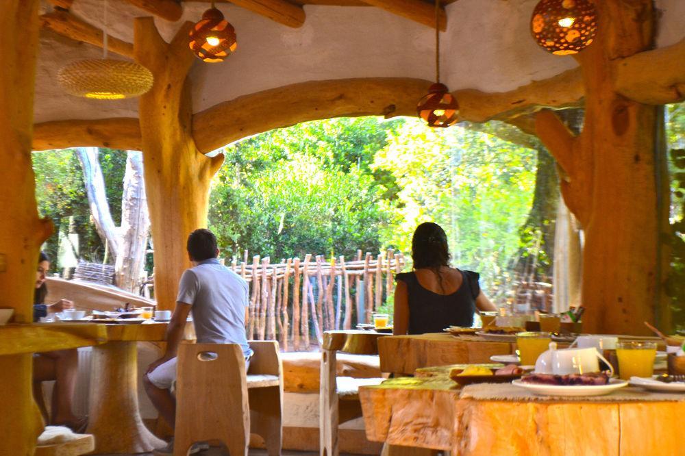 Tree Lodge Nidos De Pucón Εξωτερικό φωτογραφία