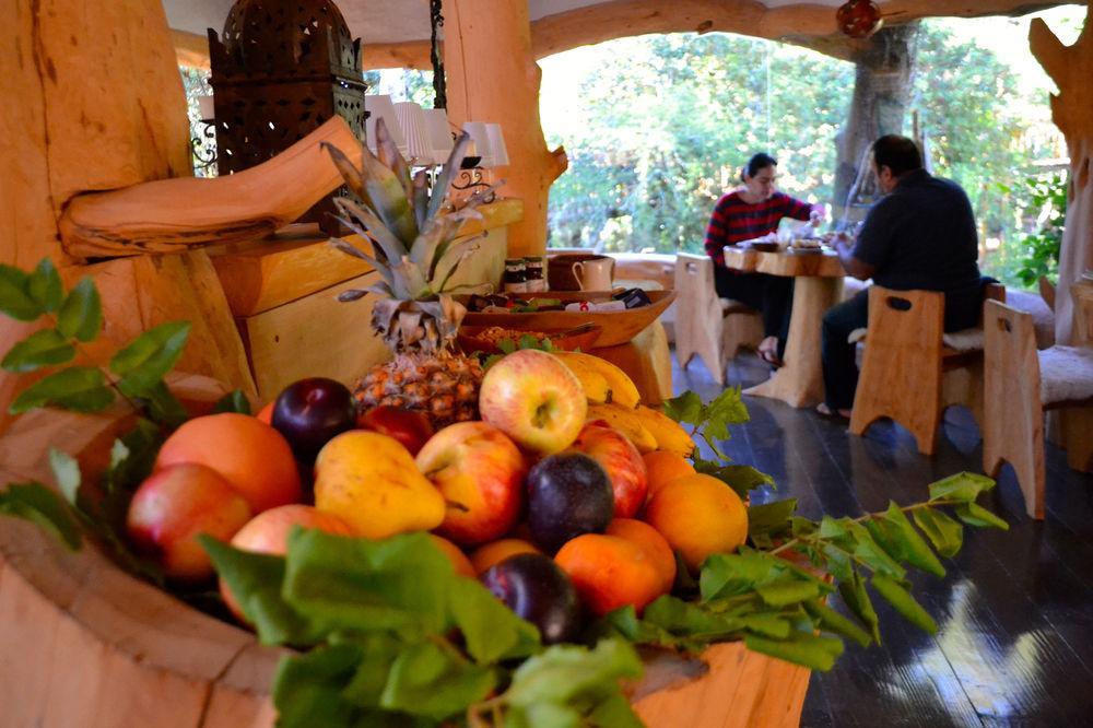 Tree Lodge Nidos De Pucón Εξωτερικό φωτογραφία