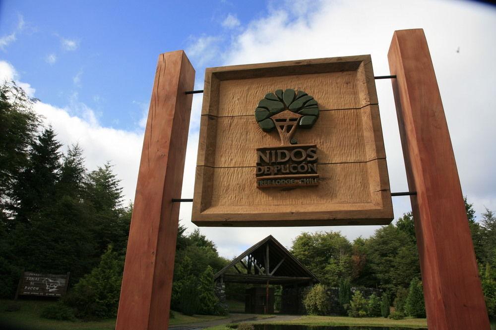 Tree Lodge Nidos De Pucón Εξωτερικό φωτογραφία