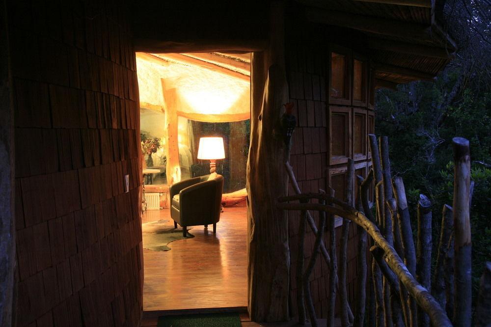 Tree Lodge Nidos De Pucón Εξωτερικό φωτογραφία