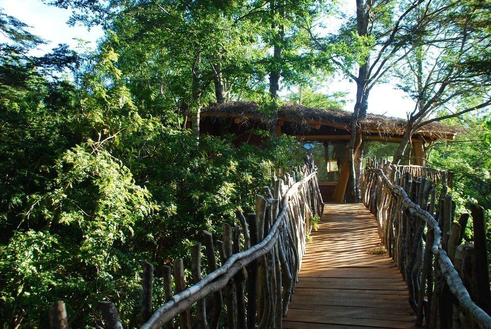 Tree Lodge Nidos De Pucón Εξωτερικό φωτογραφία