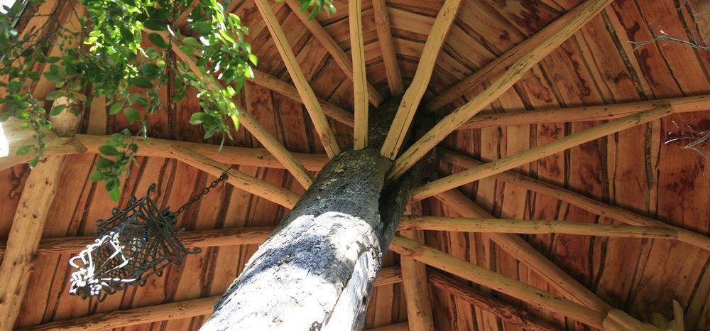 Tree Lodge Nidos De Pucón Εξωτερικό φωτογραφία